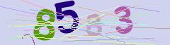 CAPTCHA validation image