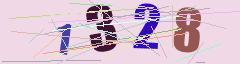 CAPTCHA validation image