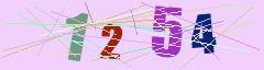CAPTCHA validation image