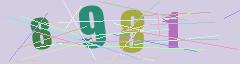 CAPTCHA validation image