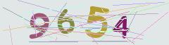 CAPTCHA validation image