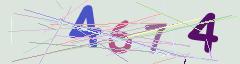 CAPTCHA validation image