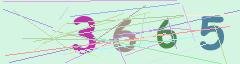 CAPTCHA validation image