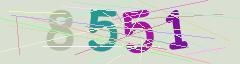 CAPTCHA validation image