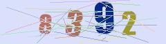 CAPTCHA validation image