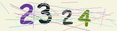 CAPTCHA validation image