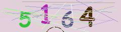 CAPTCHA validation image