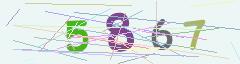 CAPTCHA validation image