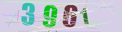 CAPTCHA validation image