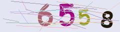 CAPTCHA validation image