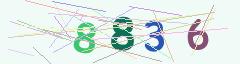 CAPTCHA validation image