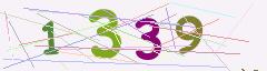 CAPTCHA validation image