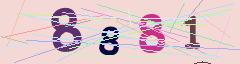 CAPTCHA validation image