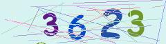 CAPTCHA validation image