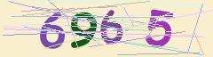 CAPTCHA validation image