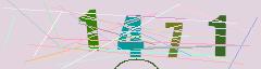 CAPTCHA validation image