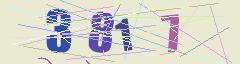 CAPTCHA validation image