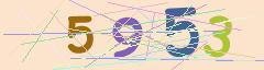 CAPTCHA validation image