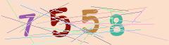 CAPTCHA validation image