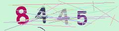 CAPTCHA validation image