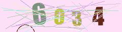 CAPTCHA validation image