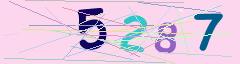 CAPTCHA validation image
