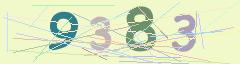 CAPTCHA validation image