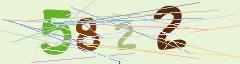 CAPTCHA validation image