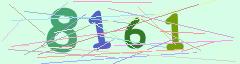 CAPTCHA validation image