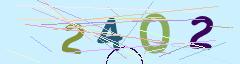 CAPTCHA validation image