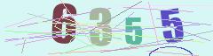 CAPTCHA validation image