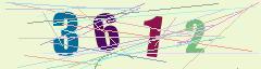 CAPTCHA validation image