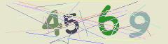 CAPTCHA validation image