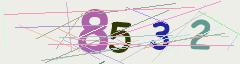 CAPTCHA validation image