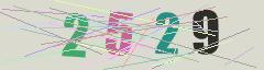 CAPTCHA validation image