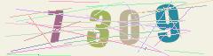 CAPTCHA validation image