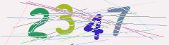 CAPTCHA validation image