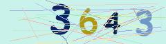 CAPTCHA validation image