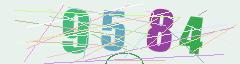 CAPTCHA validation image