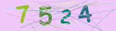 CAPTCHA validation image