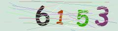 CAPTCHA validation image