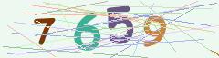CAPTCHA validation image