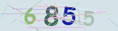 CAPTCHA validation image