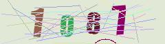 CAPTCHA validation image