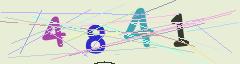 CAPTCHA validation image