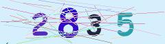 CAPTCHA validation image