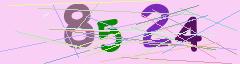 CAPTCHA validation image