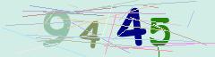 CAPTCHA validation image