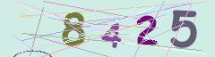 CAPTCHA validation image