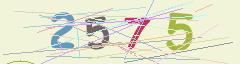 CAPTCHA validation image